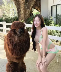 Natpaphat Ounboontan OnlyFans